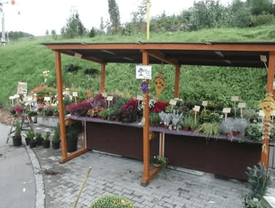 Pflanzenangebot am Blumenstand