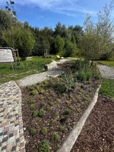 Azubi-Projekt 'Barfußpfad'