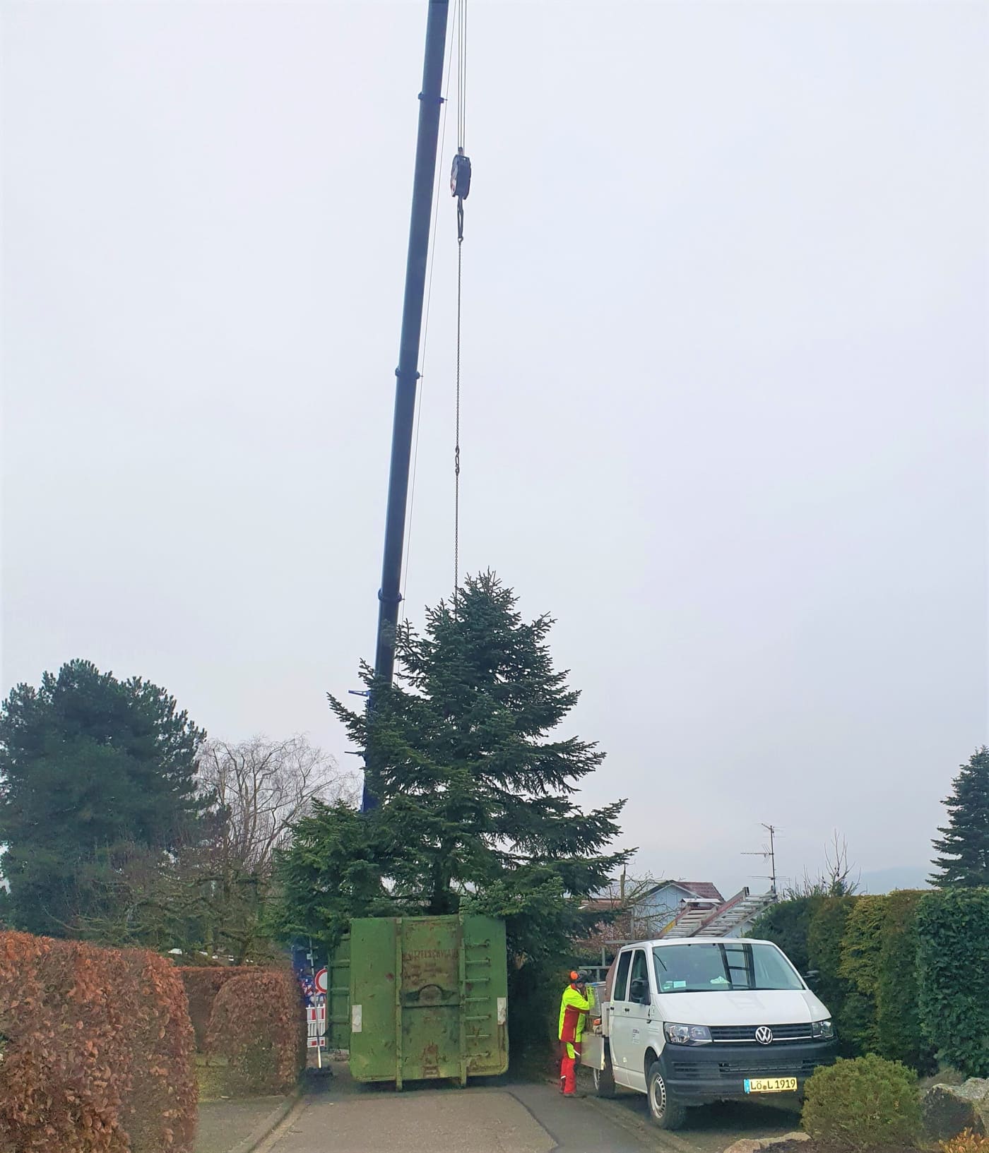 Baum wird mit Kran abgetragen