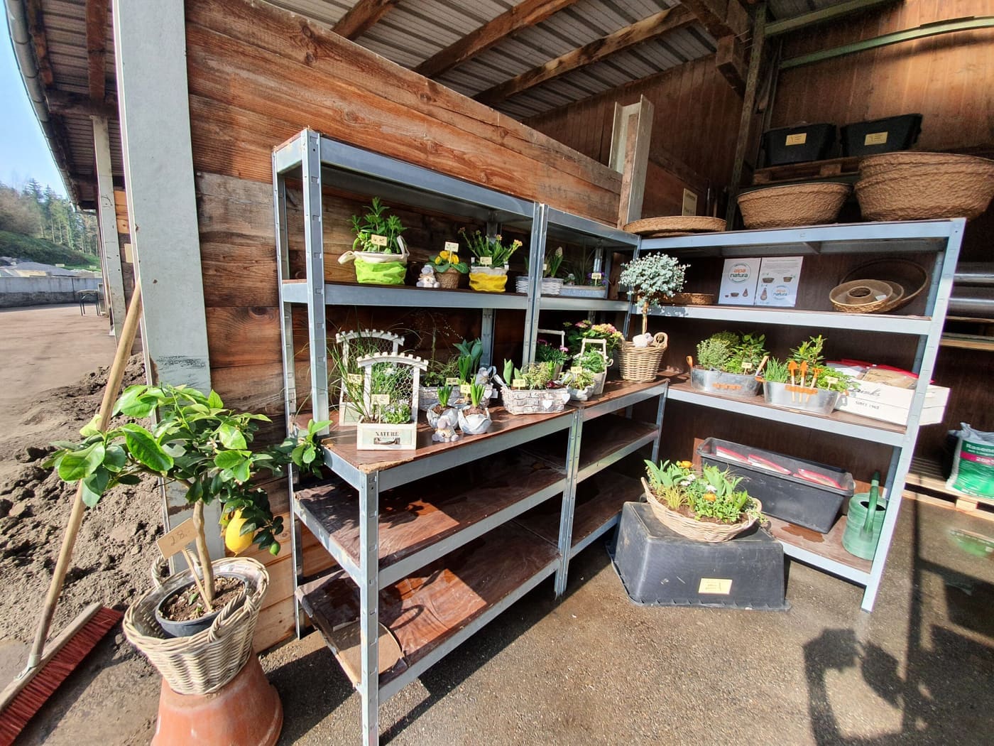 Blumenstand der Lützelschwab GmbH