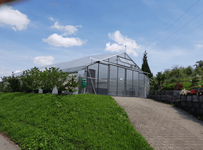 Blumenkästen und Pflanzen