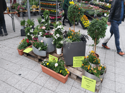 Herbstangebot am Blumenstand