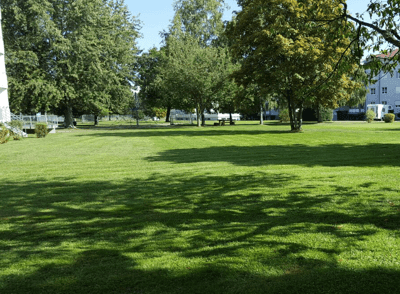 Baumpflege im Garten