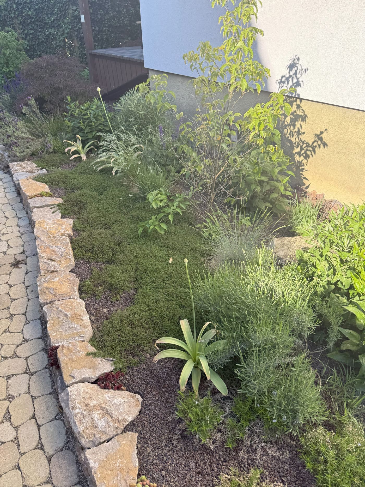 Pflanzbeet im Garten