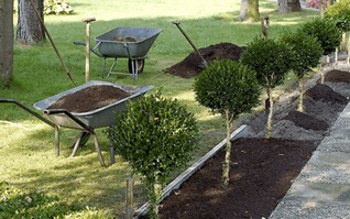 Kompost in der Schubkarre