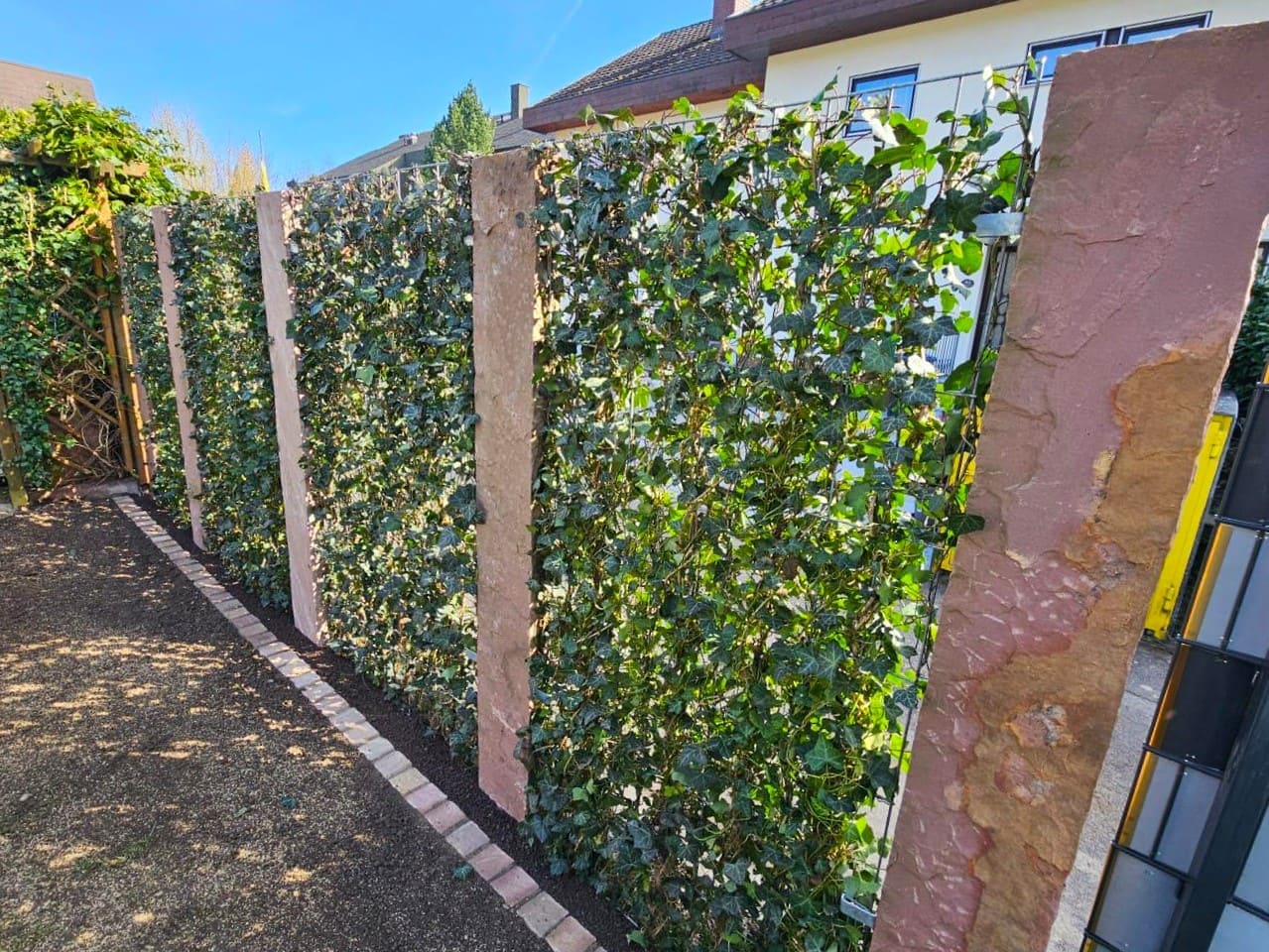 Sichtschutz im Garten